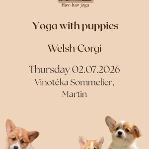 Jóga so šteniatkami Corgi - 16:45