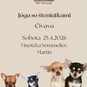 Jóga so šteniatkami Čivava - 11:15