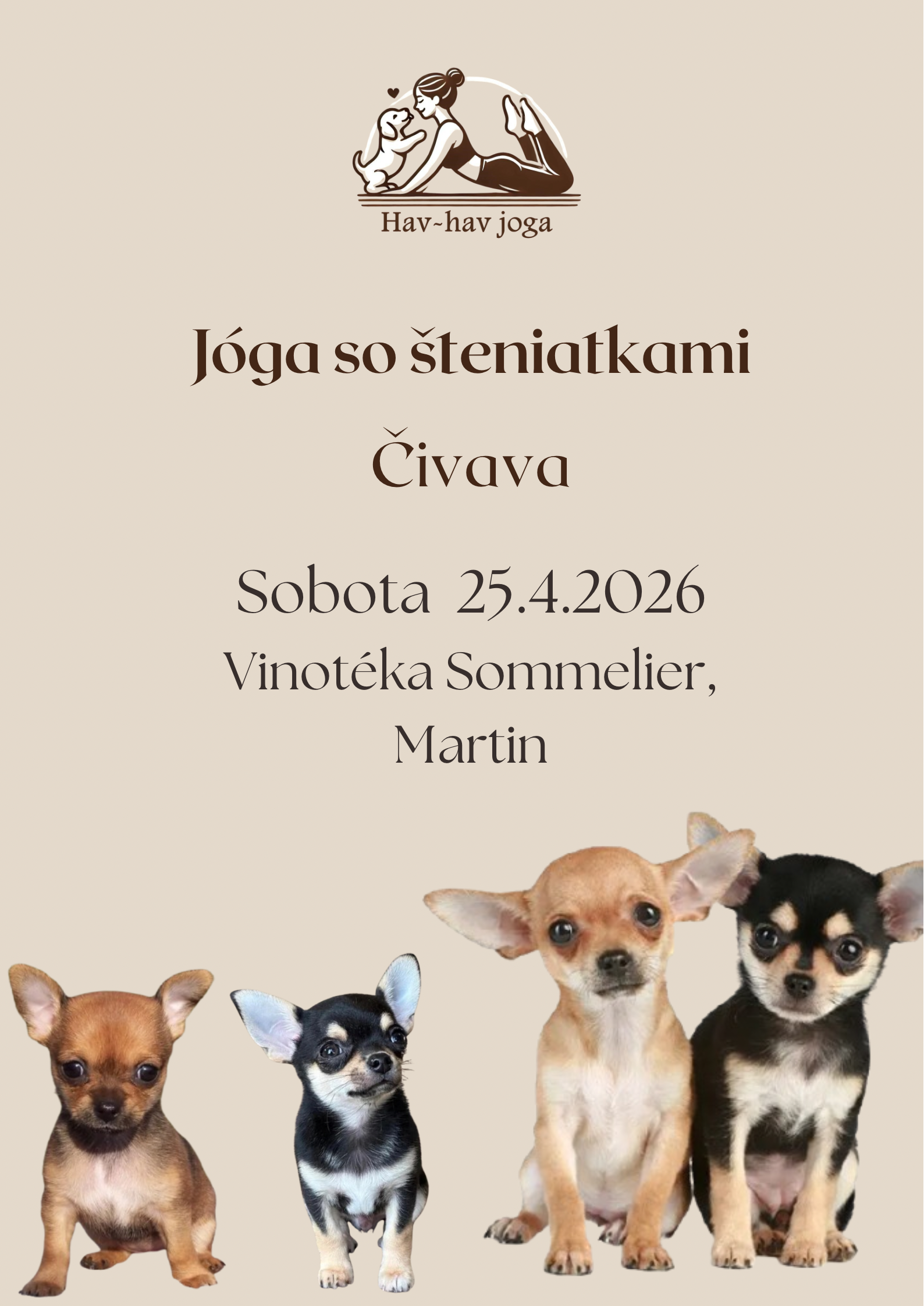 Jóga so šteniatkami Čivava - 11:15