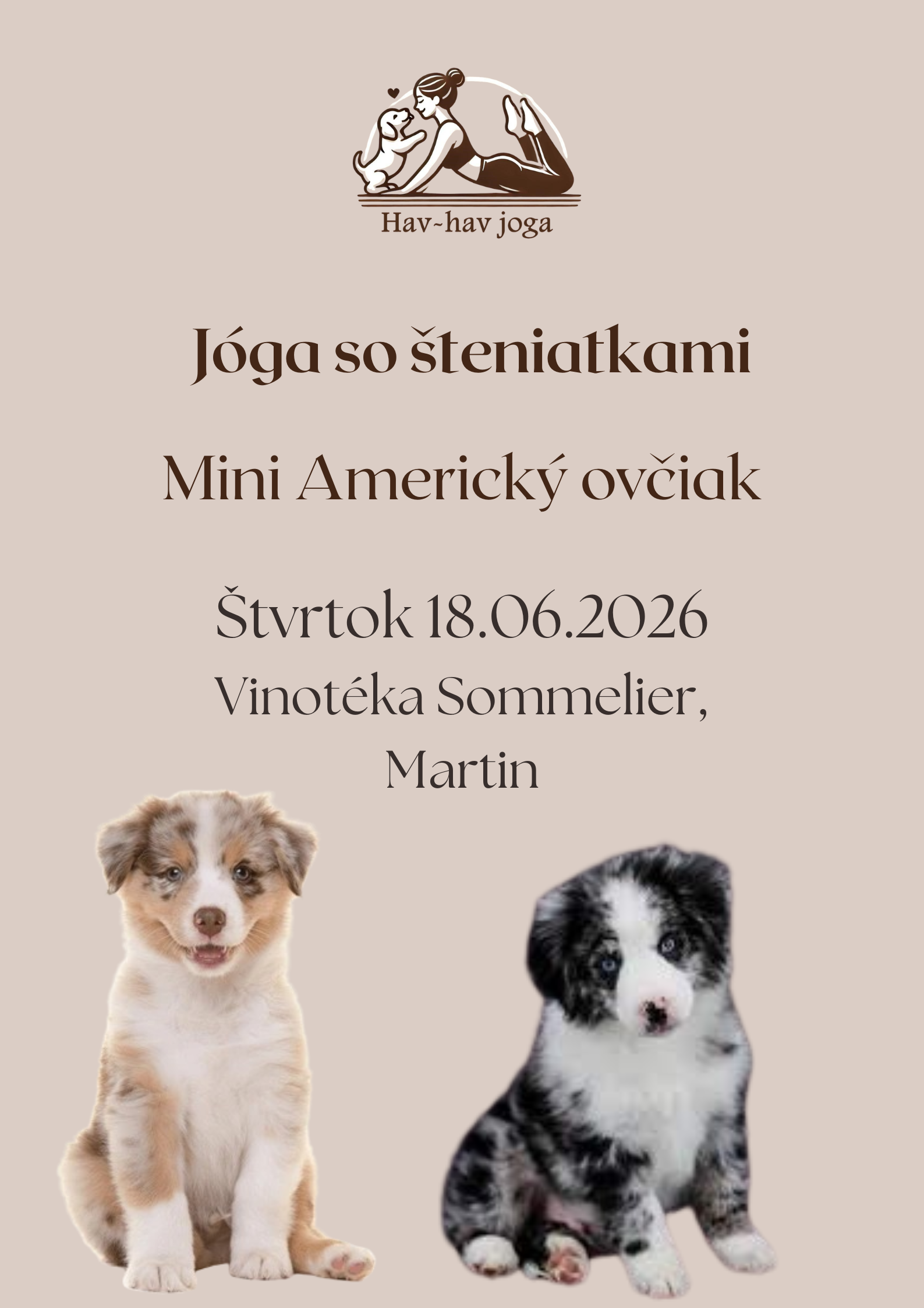 Jóga so šteniatkami Mini Americký Ovčiak - 18:15